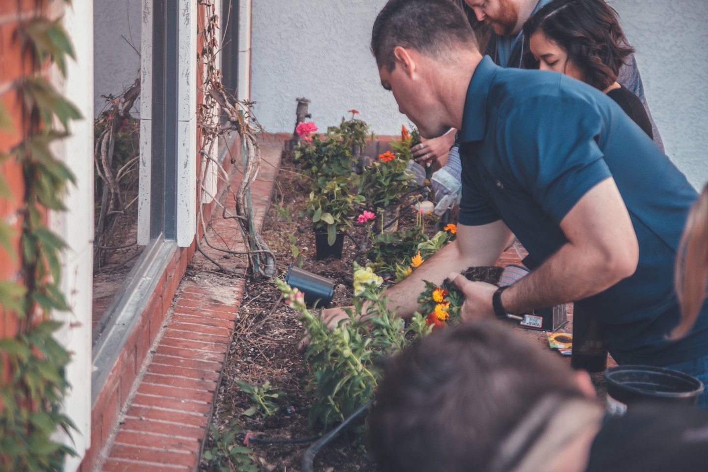 Menschen pflanzen bunte Blumen in einem Garten neben einem Gebäude.