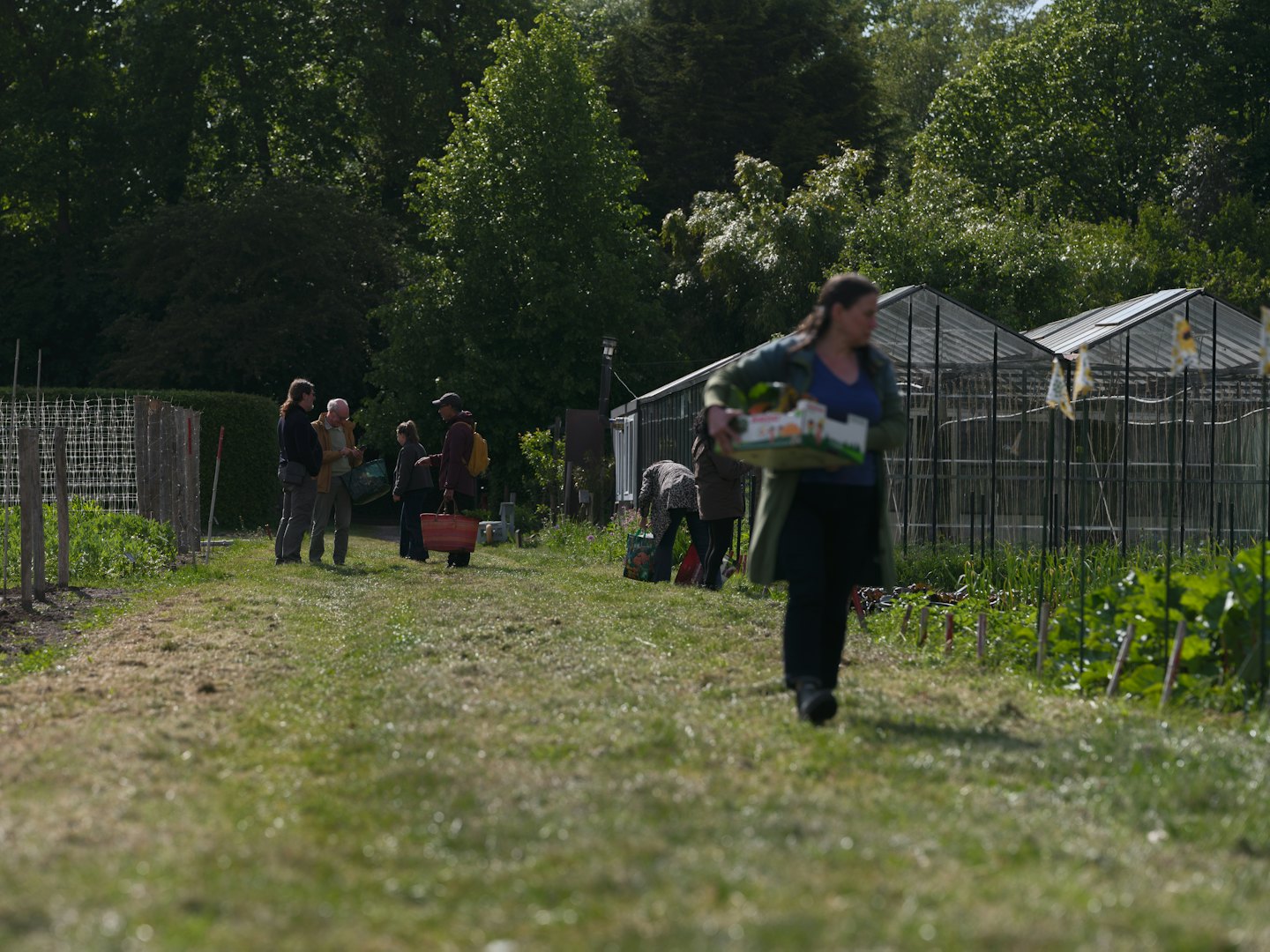 Menschen unterhalten sich beim Gärtnern in einem Gemeinschaftsgarten.